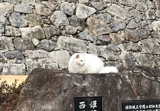 主 - コピー.jpg