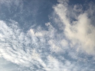 秋の雲１ - コピー.jpg