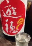 遊補 純吟.jpg