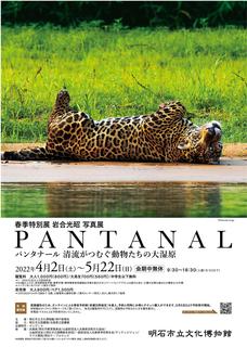 PANTANAL_A4_rgb-01.jpg